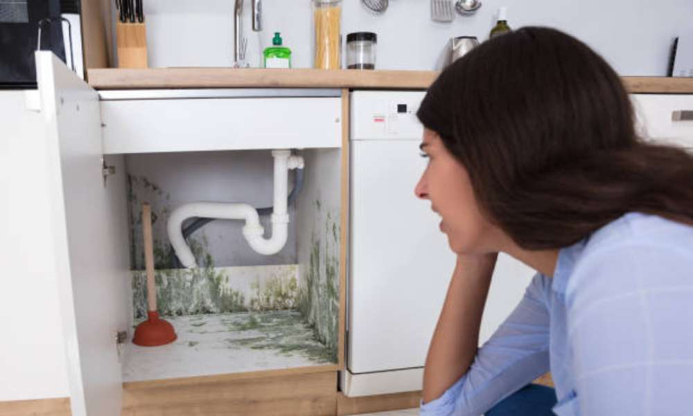 Repair Water Damaged Kitchen Cabinets